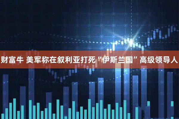 财富牛 美军称在叙利亚打死“伊斯兰国”高级领导人