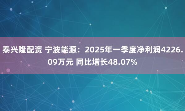 泰兴隆配资 宁波能源：2025年一季度净利润4226.09万元 同比增长48.07%